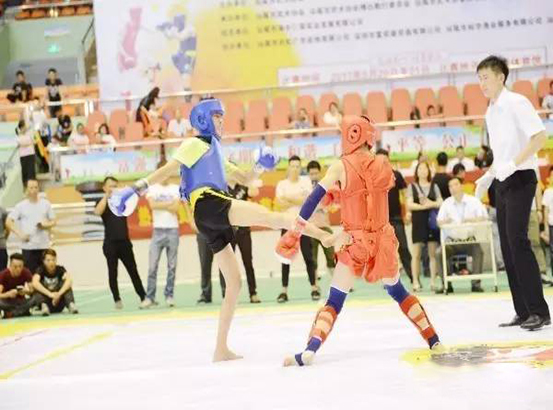 2017年汕尾市青少年武術散打錦標賽 拷貝.jpg